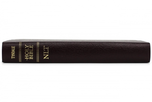 NLT compact bible burgundy
