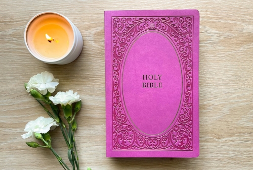 Holy Bible, NIV Soft Touch Pink