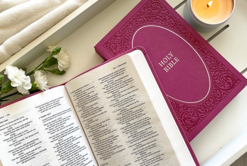 Holy Bible, NIV Soft Touch Pink