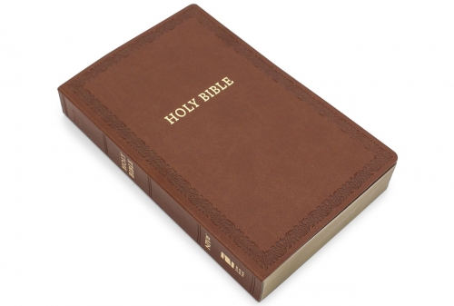 Holy Bible, NIV Soft Touch Brown
