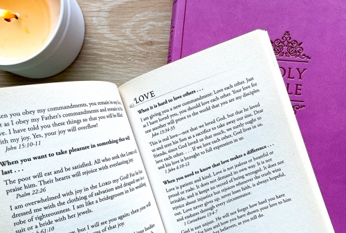 The NLT Bible Promise Book for Women