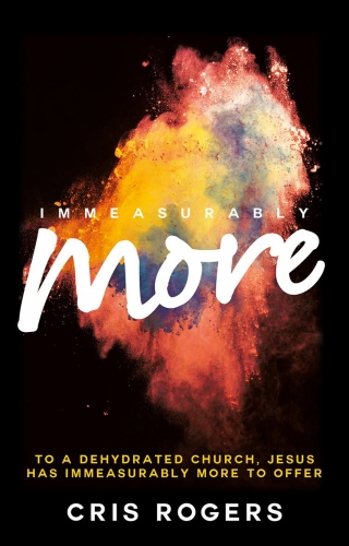 Immeasurably More (Used)