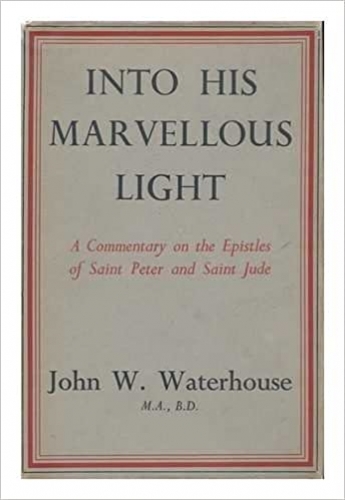 Into His Marvellous Light (Used)