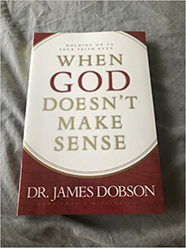When God doesn't make sense (Used)