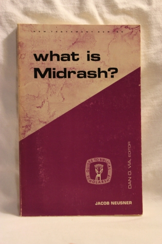 What is Midrash? Guides to Biblical Scholarship  (Used)