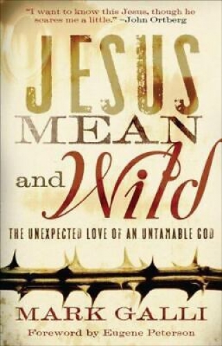 Jesus Mean and Wild (Used)